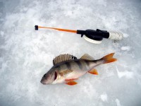 Зимняя рыбалка - Интернет магазин товаров для рыбалки и охоты "Корсар", Нефтекамск